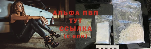 гашик Баксан