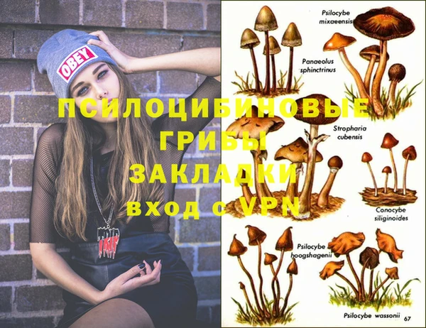 гашик Баксан
