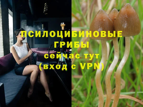 гашик Баксан