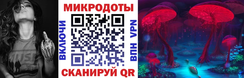 Галлюциногенные грибы прущие грибы  где продают наркотики  Лагань 